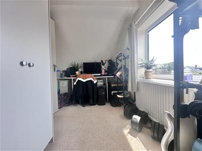 Picture 24